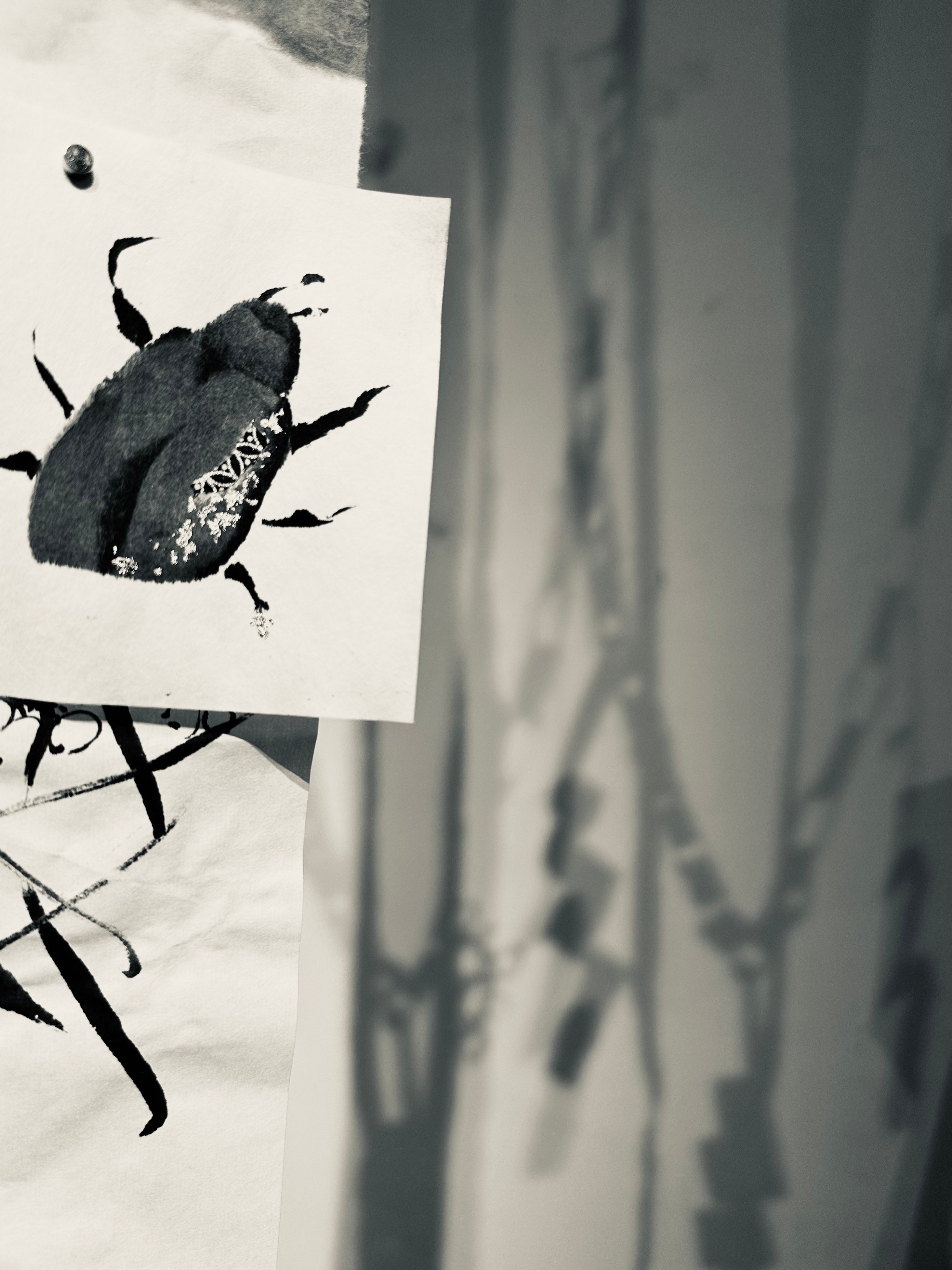 Detail of a black ink brush painting of a beetle on textured paper